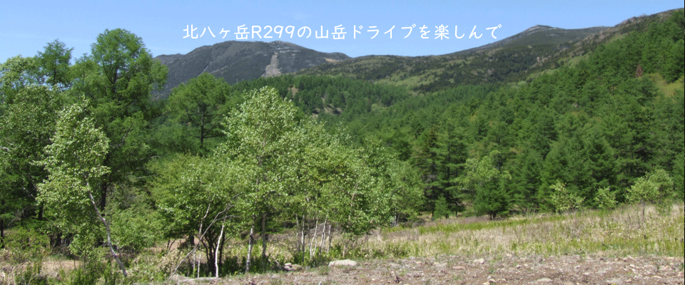 蓼科・八ヶ岳国際自然学校のサイトです