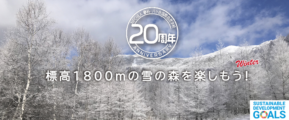 蓼科・八ヶ岳国際自然学校のサイトです